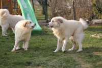 /album/en-fotogaleria/en-galeria8-jpg/