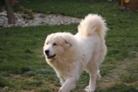 /album/en-fotogaleria/en-galeria4-jpg/