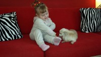 /album/en-fotogaleria/en-galeria99991-jpg/