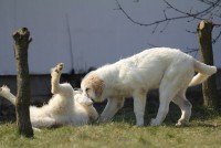 /album/en-fotogaleria/a07-jpg1/