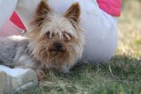 /album/en-fotogaleria/sanco02-jpg1/
