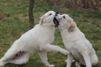 /album/en-fotogaleria/sunday08-jpg/