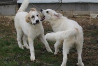 /album/en-fotogaleria/sunday09-jpg1/