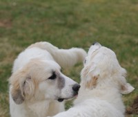 /album/en-fotogaleria/sunday014-jpg/