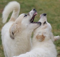 /album/en-fotogaleria/sunday013-jpg1/