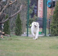 /album/en-fotogaleria/sunday016-jpg1/