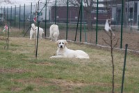 /album/en-fotogaleria/sunday019-jpg/