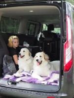 /album/en-fotogaleria/41747991-2214722421902519-8890516615490174976-n-jpg1/