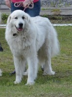 /album/en-fotogaleria/60429998-2713352098706213-7322163252421459968-n-jpg/