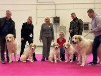 /album/en-fotogaleria/79221912-3284878734886877-295040819893633024-n-jpg1/