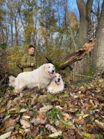 /album/en-fotogaleria/125541676-4667992706575466-77696779744445259-n-jpg2/