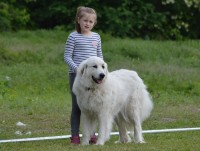 /album/en-fotogaleria/60448741-2713353292039427-1504816876771868672-n-jpg1/