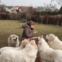 /album/en-fotogaleria/156657586-5133615446679854-6330011470516331352-n-jpg1/