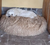 /album/en-fotogaleria/157445100-5133616233346442-7642613825201103033-n-jpg1/