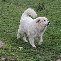 /album/en-fotogaleria/3niki-jpg2/