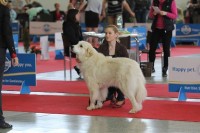 /album/en-fotogaleria/10175057-744365112271598-6261053824807337856-n-jpg1/