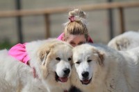 /album/en-fotogaleria/10264953-722863641088412-9125514177243718317-n-jpg1/