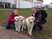 /album/en-fotogaleria/10845782-885053361536105-6307302267200101907-o-jpg1/