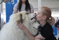 /album/en-fotogaleria/11141349-935037139871060-103711618113366696-n-jpg/