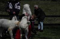 /album/en-fotogaleria/11174897-913340602040714-8196819288248586174-n-jpg1/