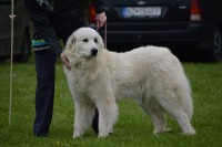 /album/en-fotogaleria/18193739-1520406061334162-8226364867327260850-n-jpg1/