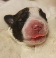 /album/en-fotogaleria/20210605-213124-jpg/