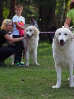 /album/en-fotogaleria/41729153-2214721968569231-3949973622747037696-n-jpg1/