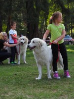 /album/en-fotogaleria/41799560-2214722055235889-8935488771369992192-n-jpg1/