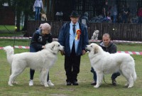 /album/en-fotogaleria/70139608-10220134014689100-8733849406966595584-n-jpg1/