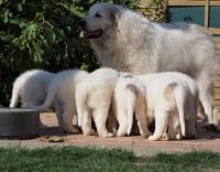 /album/en-fotogaleria/74718687-3134705609904191-1878016643934715904-n-jpg/