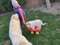 /album/en-fotogaleria/73713220-3163882423653176-1587826688954204160-n-jpg/