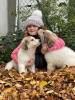 /album/en-fotogaleria/95452290-3752322911475788-2976894738264752128-n-jpg/