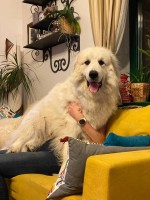 /album/en-fotogaleria/119672454-4379097742131632-7671250564729383354-n-jpg/