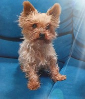 /album/en-fotogaleria/168346923-5273029776071753-7519377231253500392-n-jpg/