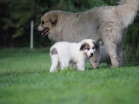 /album/en-fotogaleria/p1015160-jpg1/