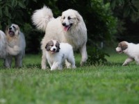 /album/en-fotogaleria/p1015215-jpg2/