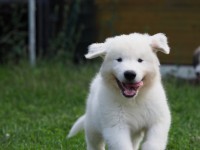 /album/en-fotogaleria/p1015193-jpg/