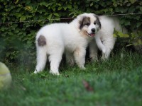 /album/en-fotogaleria/p1015486-jpg/