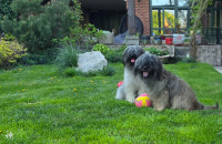 /album/en-fotogaleria/20240407-200905-jpg/