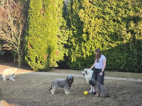 /album/en-fotogaleria/fb-img-1751567070815-jpg/