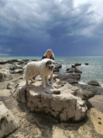 /album/en-fotogaleria/fb-img-1751567637906-jpg1/