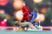 /album/en-fotogaleria/fb-img-1751567110402-jpg/