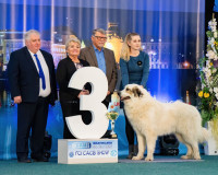 /album/en-fotogaleria/loui3-jpg1/