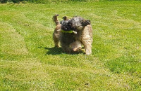 /album/en-fotogaleria/fb-img-1751567683545-jpg1/