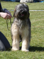 /album/en-fotogaleria/fb-img-1751567757717-jpg1/