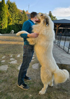 /album/en-fotogaleria/fb-img-1752345933383-jpg/