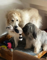 /album/en-fotogaleria/fb-img-1752346547257-jpg1/