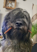 /album/en-fotogaleria/fb-img-1752346685612-jpg1/