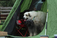 /album/en-fotogaleria/fb-img-1752346901138-jpg1/