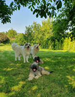 /album/en-fotogaleria/fb-img-1752346940900-jpg1/